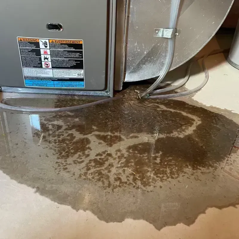 Appliance Leak Cleanup in Tremonton, UT